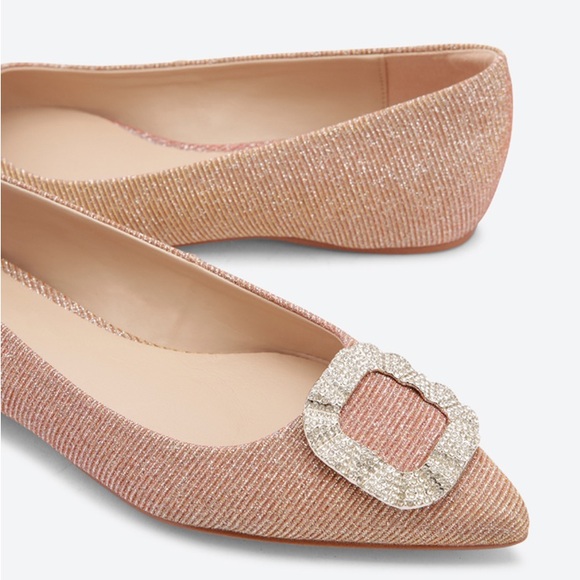 Aldo Umireni Broach Details Ballerina flats - Picture 4 of 9